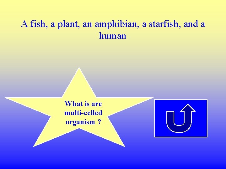 A fish, a plant, an amphibian, a starfish, and a human What is are