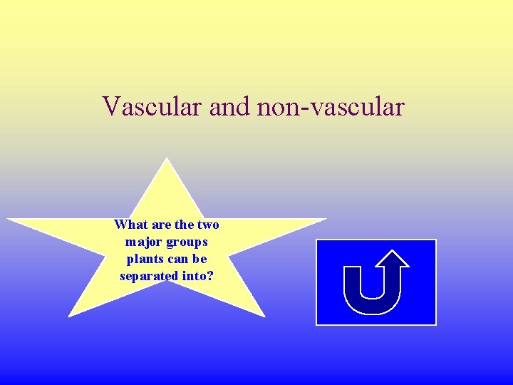 Vascular and non-vascular What are the two major groups plants can be separated into?