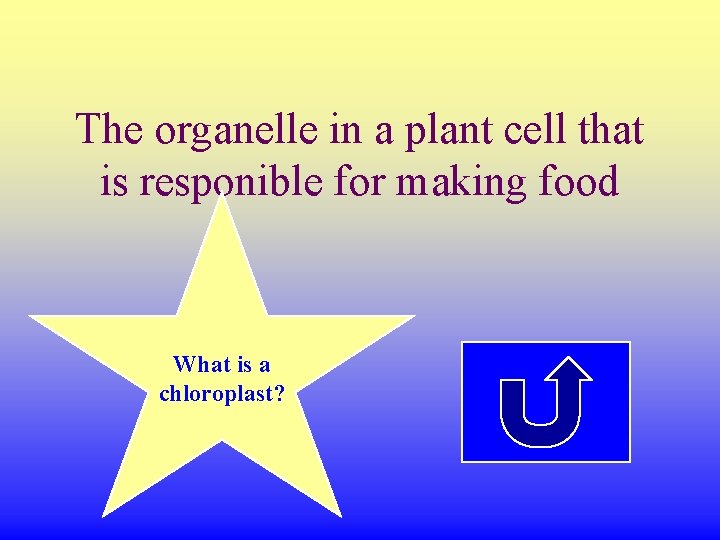 The organelle in a plant cell that is responible for making food What is