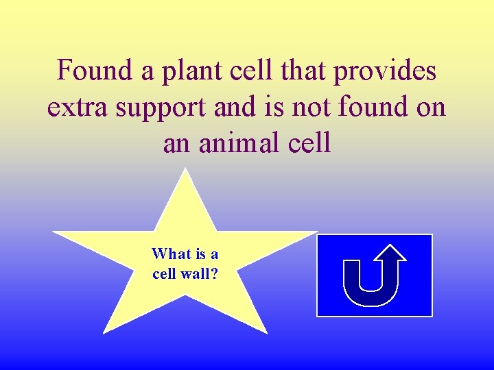 Found a plant cell that provides extra support and is not found on an