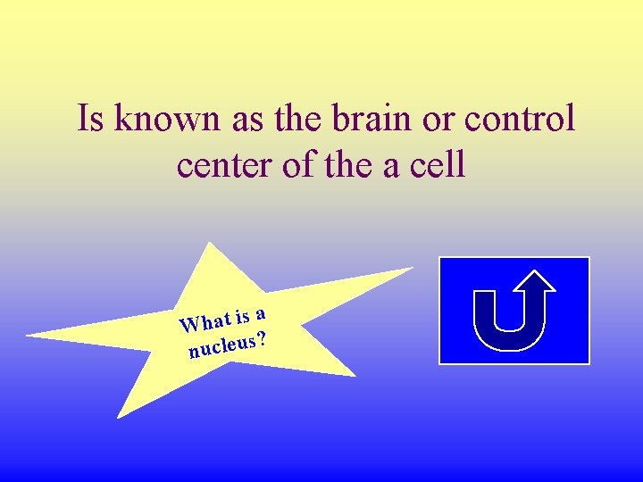  Is known as the brain or control center of the a cell sa