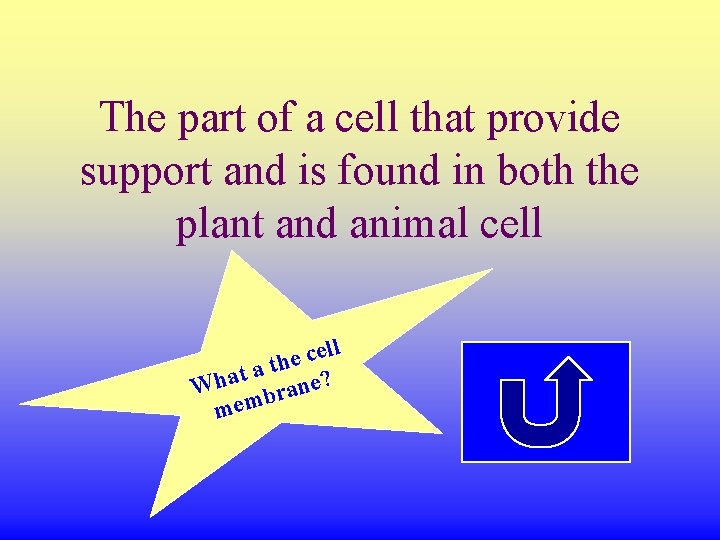 The part of a cell that provide support and is found in both the