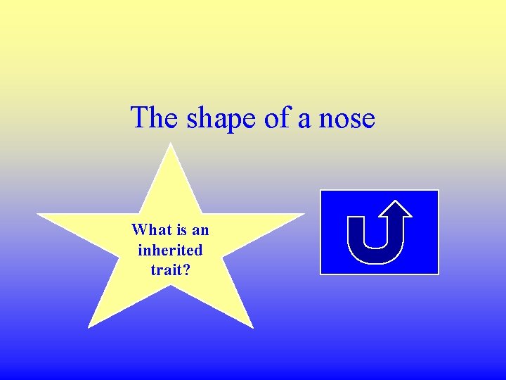 The shape of a nose What is an inherited trait? 