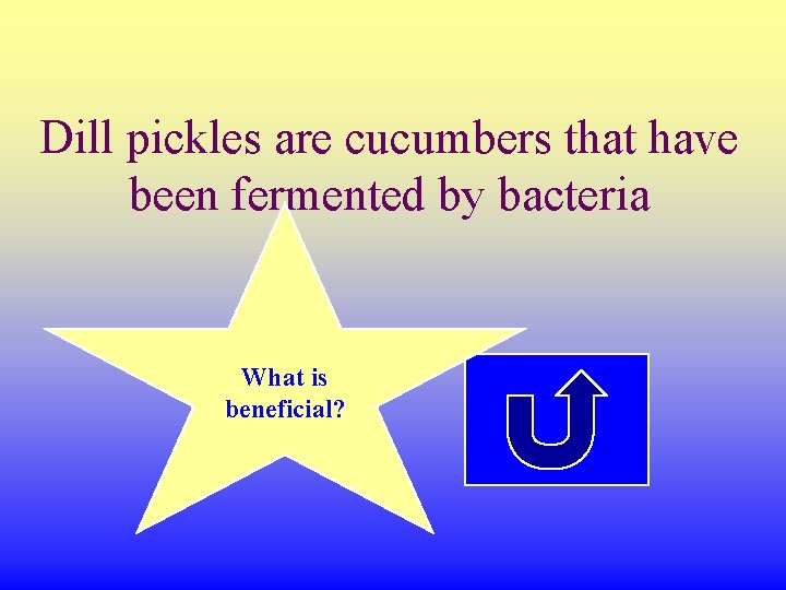 Dill pickles are cucumbers that have been fermented by bacteria What is beneficial? 