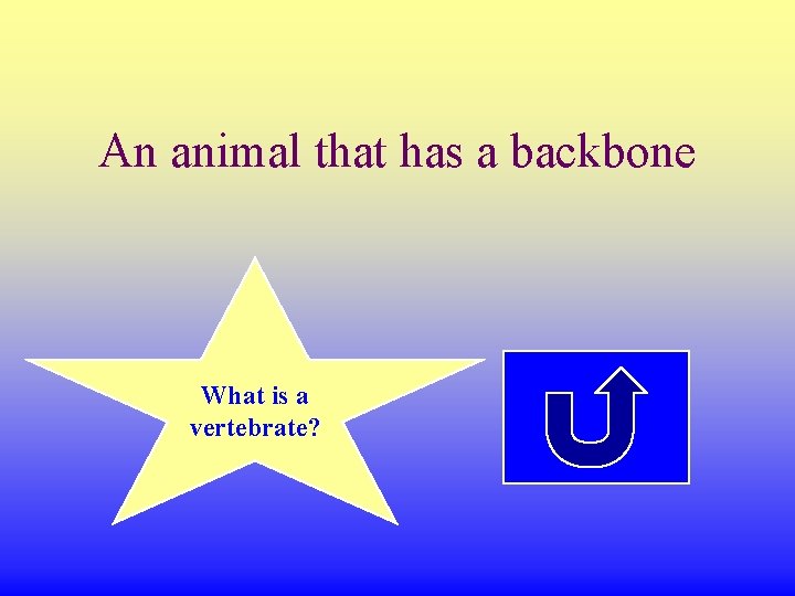 An animal that has a backbone What is a vertebrate? 