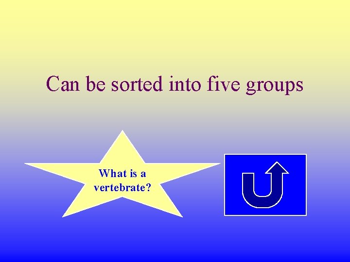 Can be sorted into five groups What is a vertebrate? 