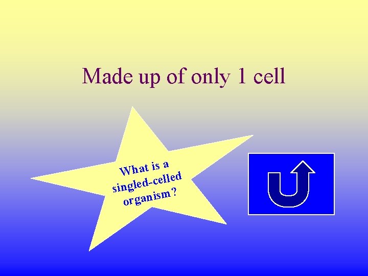 Made up of only 1 cell is a t a h W ed l