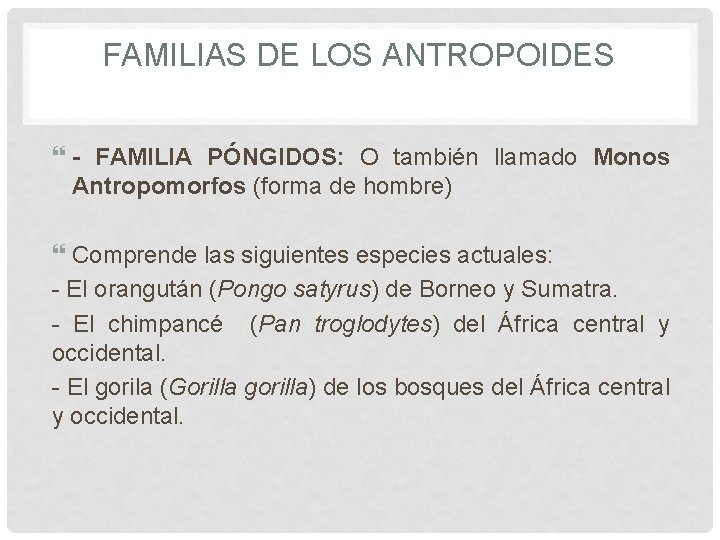 FAMILIAS DE LOS ANTROPOIDES - FAMILIA PÓNGIDOS: O también llamado Monos Antropomorfos (forma de
