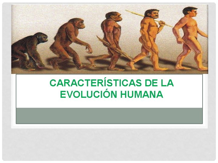 CARACTERÍSTICAS DE LA EVOLUCIÓN HUMANA 