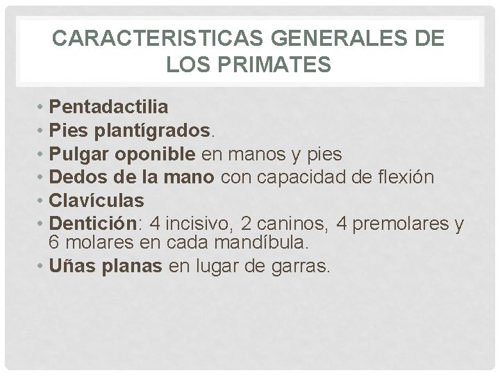 CARACTERISTICAS GENERALES DE LOS PRIMATES • Pentadactilia • Pies plantígrados. • Pulgar oponible en