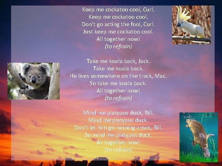 Keep me cockatoo cool, Curl. Keep me cockatoo cool. Don’t go acting the fool, Keep me cockatoo cool, Curl. Keep me cockatoo cool. Don’t go acting the fool,