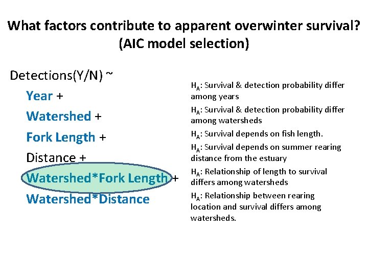 What factors contribute to apparent overwinter survival? (AIC model selection) Detections(Y/N) ~ Year +