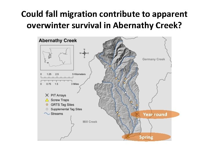 Could fall migration contribute to apparent overwinter survival in Abernathy Creek? Year round Spring