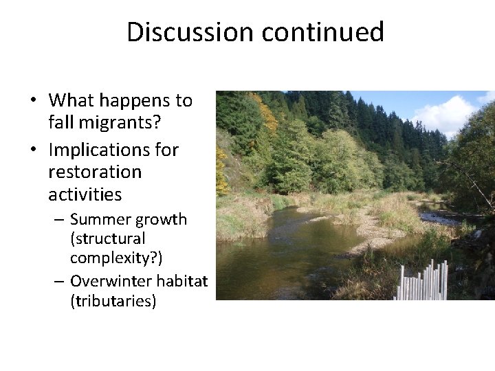 Discussion continued • What happens to fall migrants? • Implications for restoration activities –