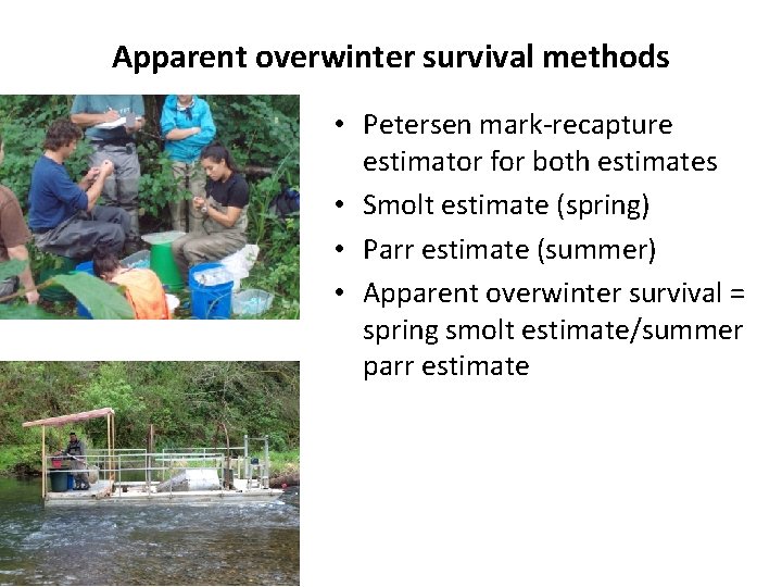 Apparent overwinter survival methods • Petersen mark-recapture estimator for both estimates • Smolt estimate