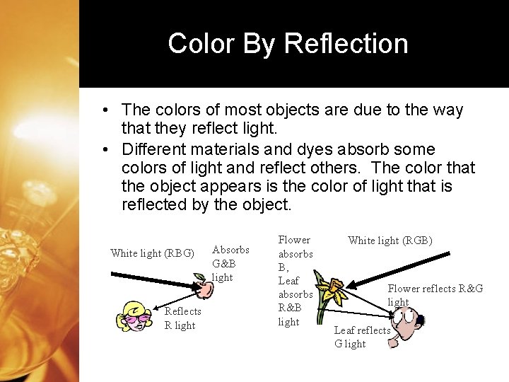 Color By Reflection • The colors of most objects are due to the way