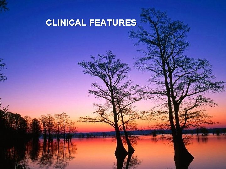 CLINICAL FEATURES 