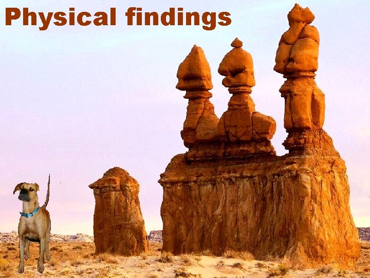 Physical findings 