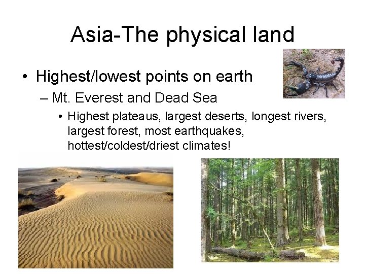 Asia-The physical land • Highest/lowest points on earth – Mt. Everest and Dead Sea