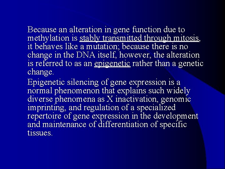 Because an alteration in gene function due to methylation is stably transmitted through mitosis,