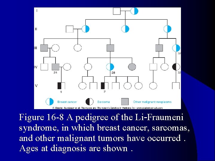 l Figure 16 -8 A pedigree of the Li-Fraumeni syndrome, in which breast cancer,