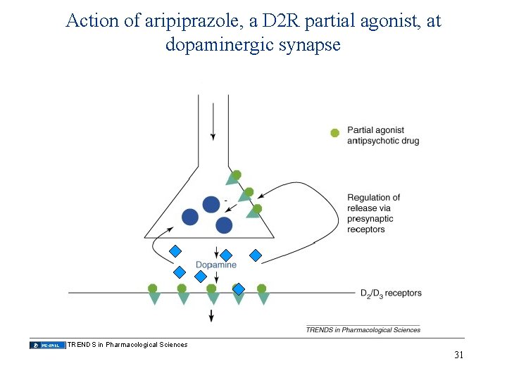 Action of aripiprazole, a D 2 R partial agonist, at dopaminergic synapse TRENDS in