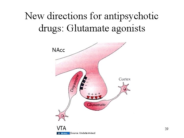 New directions for antipsychotic drugs: Glutamate agonists 39 Source Undetermined 