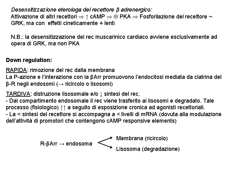 Desensitizzazione eterologa del recettore β adrenergico: Attivazione di altri recettori ↑ c. AMP PKA