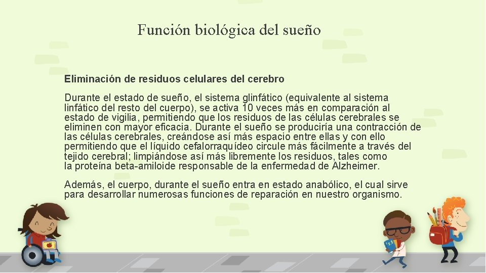 Función biológica del sueño Eliminación de residuos celulares del cerebro Durante el estado de Función biológica del sueño Eliminación de residuos celulares del cerebro Durante el estado de