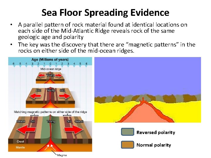 Sea Floor Spreading Evidence • A parallel pattern of rock material found at identical