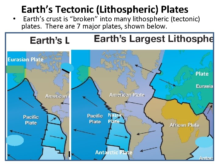 Earth’s Tectonic (Lithospheric) Plates • Earth’s crust is “broken” into many lithospheric (tectonic) plates.