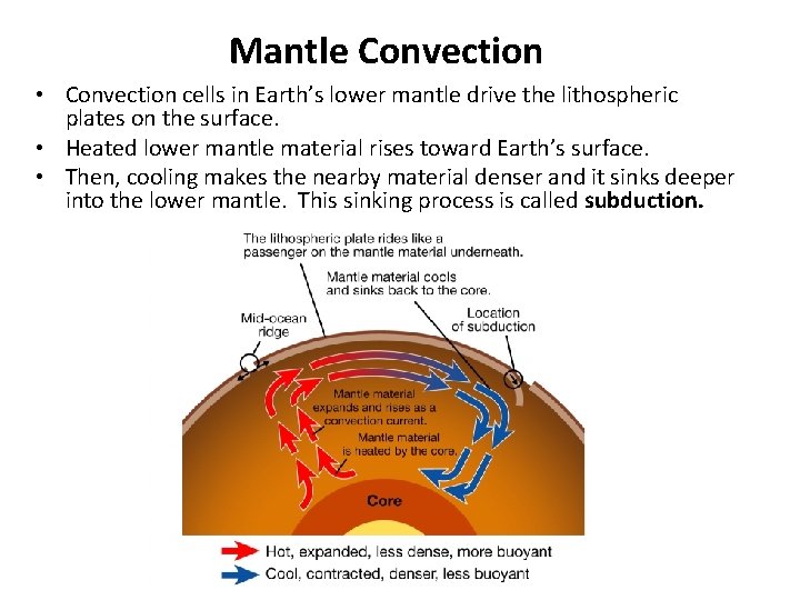 Mantle Convection • Convection cells in Earth’s lower mantle drive the lithospheric plates on