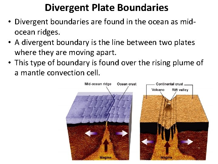 Divergent Plate Boundaries • Divergent boundaries are found in the ocean as midocean ridges.