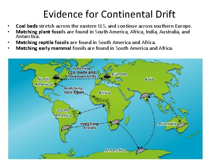 Evidence for Continental Drift • • Coal beds stretch across the eastern U. S.