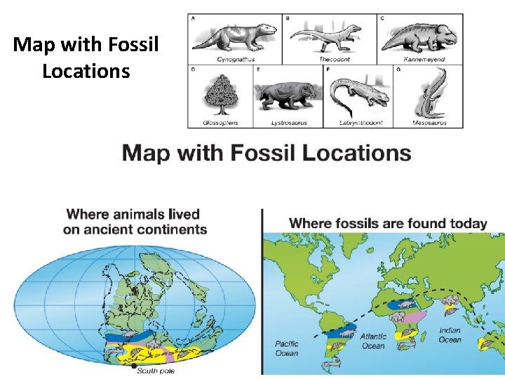 Map with Fossil Locations 