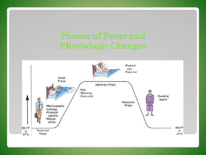 Phases of Fever and Physiologic Changes 
