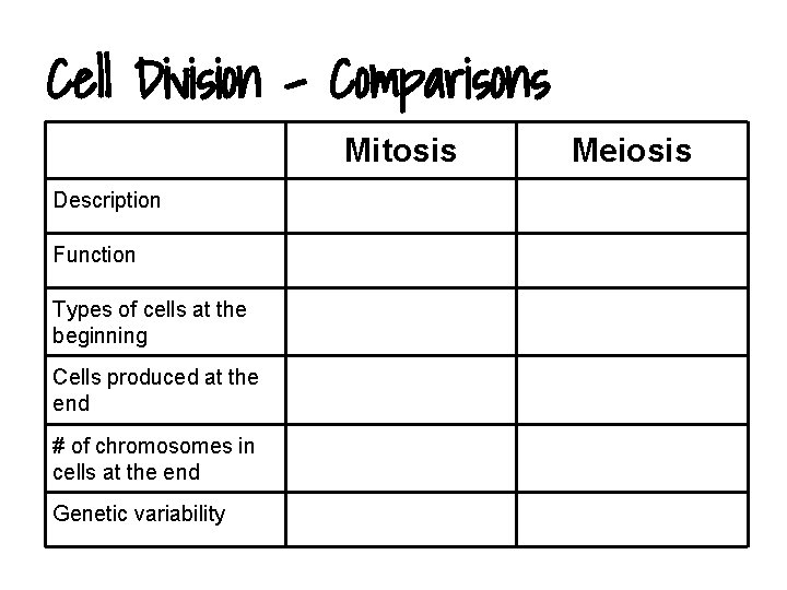 Cell Division - Comparisons Mitosis Description Function Types of cells at the beginning Cells