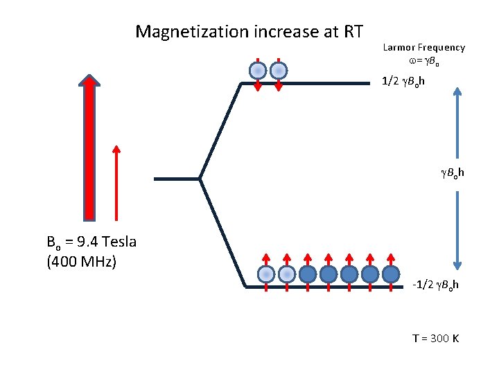 Magnetization increase at RT Larmor Frequency w= g. Bo 1/2 g. Boh Bo =