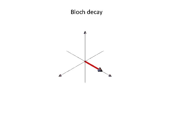 Bloch decay 