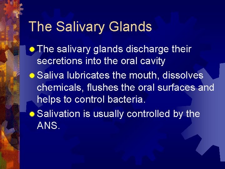 The Salivary Glands ® The salivary glands discharge their secretions into the oral cavity