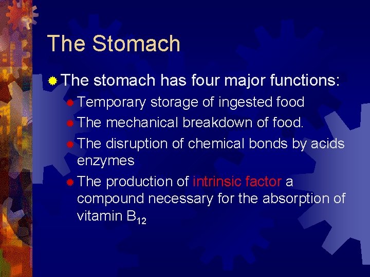 The Stomach ® The stomach has four major functions: ® Temporary storage of ingested