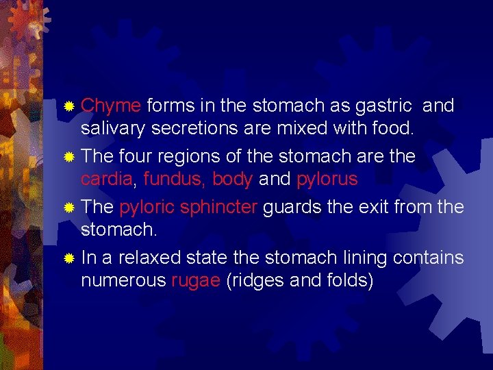 ® Chyme forms in the stomach as gastric and salivary secretions are mixed with