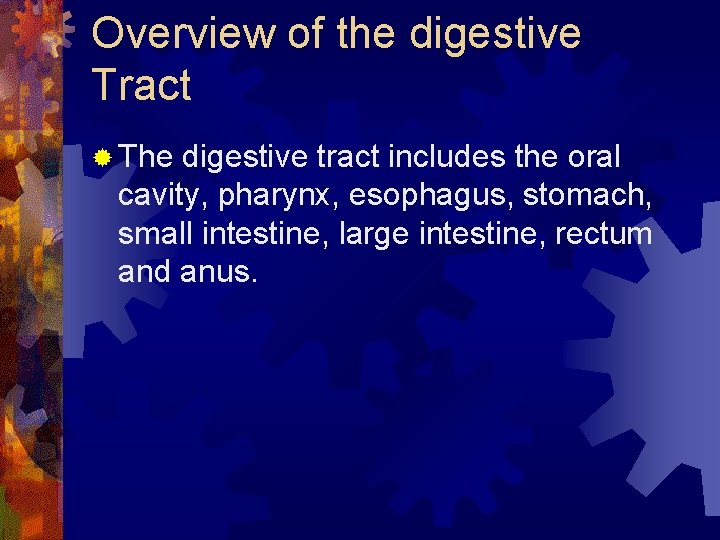 Overview of the digestive Tract ® The digestive tract includes the oral cavity, pharynx,