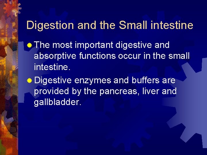 Digestion and the Small intestine ® The most important digestive and absorptive functions occur