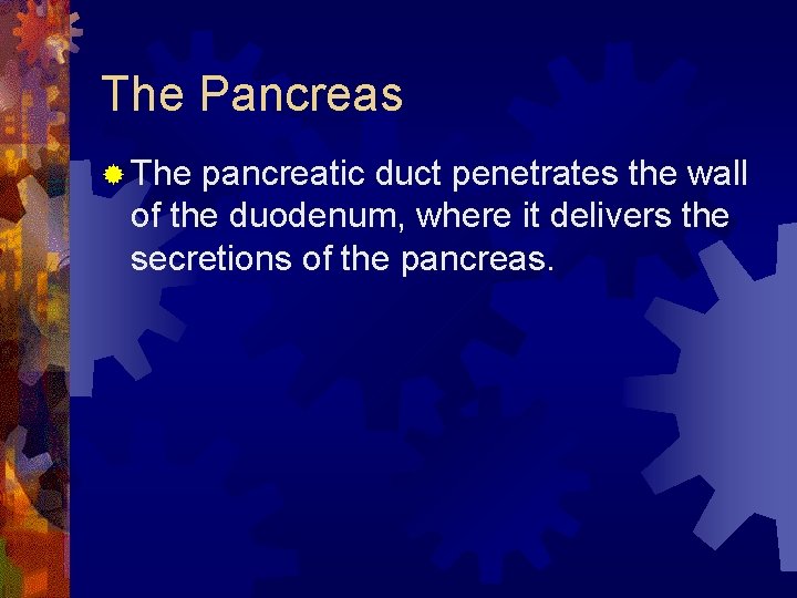 The Pancreas ® The pancreatic duct penetrates the wall of the duodenum, where it