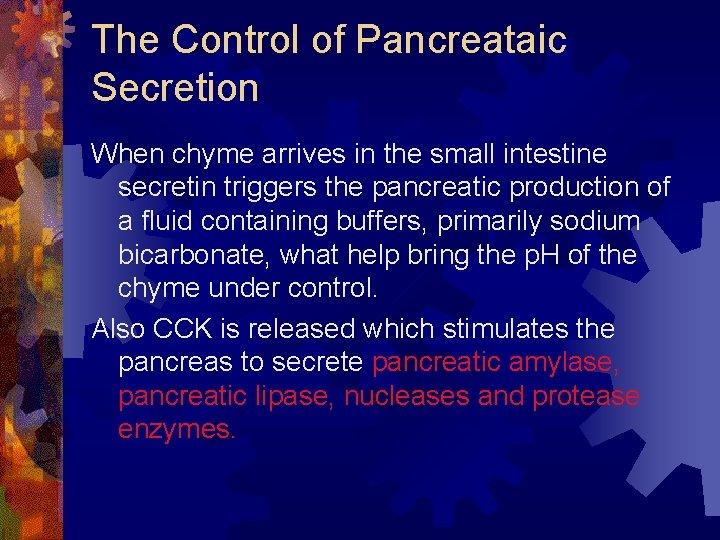 The Control of Pancreataic Secretion When chyme arrives in the small intestine secretin triggers