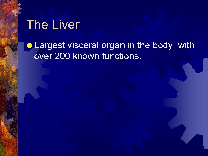 The Liver ® Largest visceral organ in the body, with over 200 known functions.