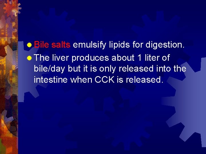 ® Bile salts emulsify lipids for digestion. ® The liver produces about 1 liter