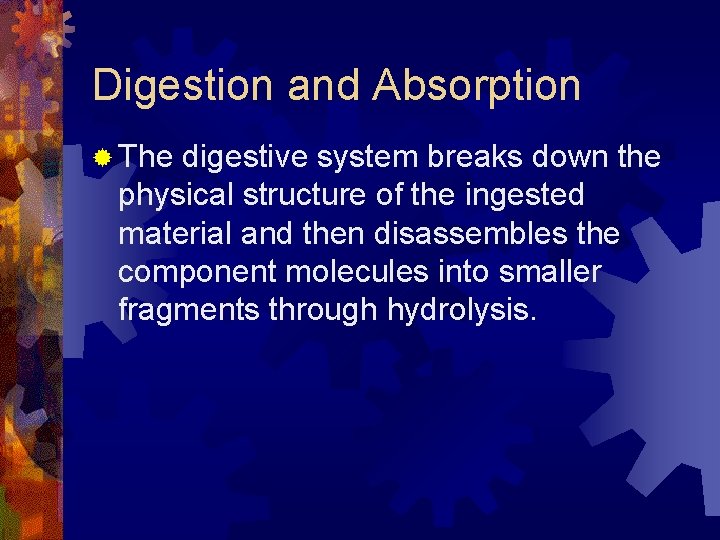 Digestion and Absorption ® The digestive system breaks down the physical structure of the