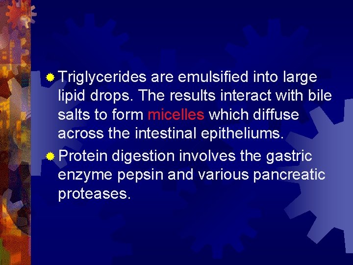 ® Triglycerides are emulsified into large lipid drops. The results interact with bile salts